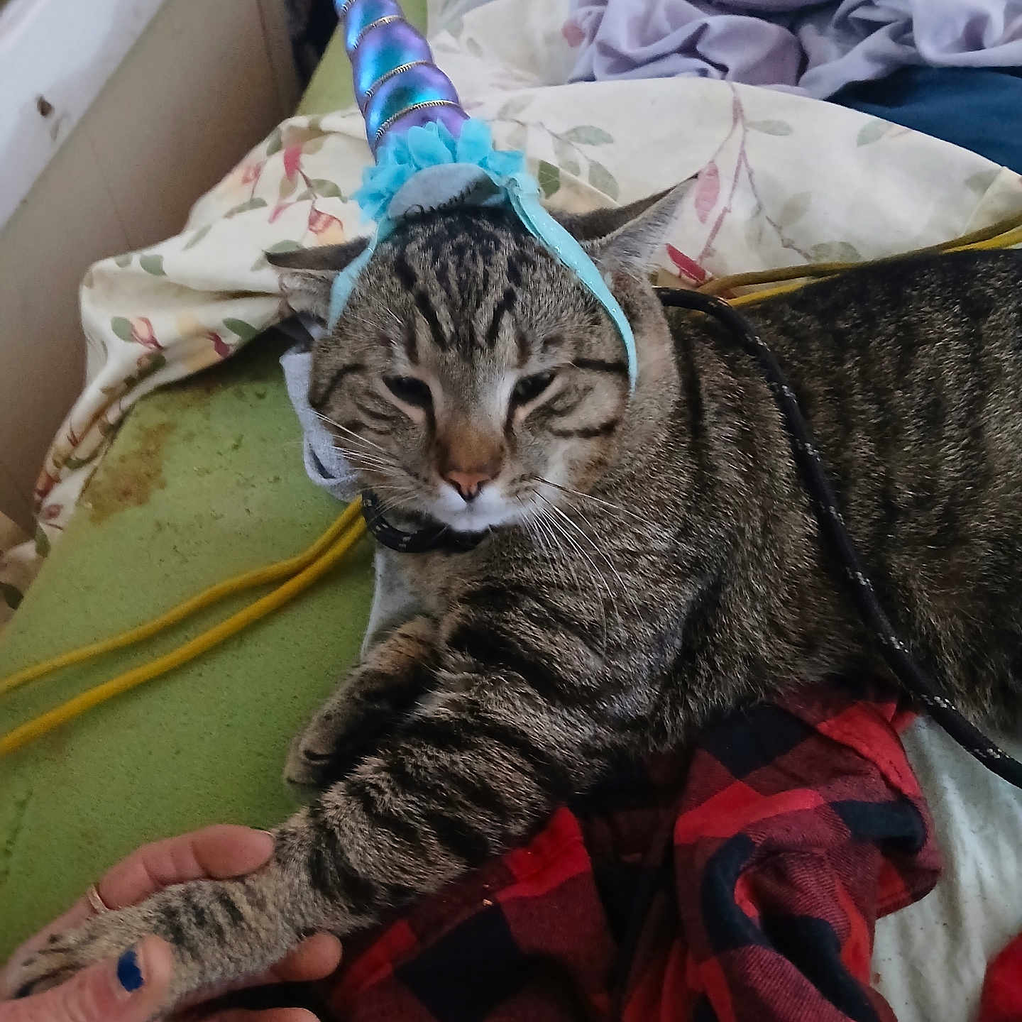 Tigger