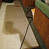 Tigger joined the competition — help win amazing prizes! black_bag, carpet, cat, clutter, curious, domestic, envelope, floor, furniture, green_carpet, household, indoor, pet, shadow, step, striped, tail, tile_floor, wooden_cabinet, yellow_envelope
