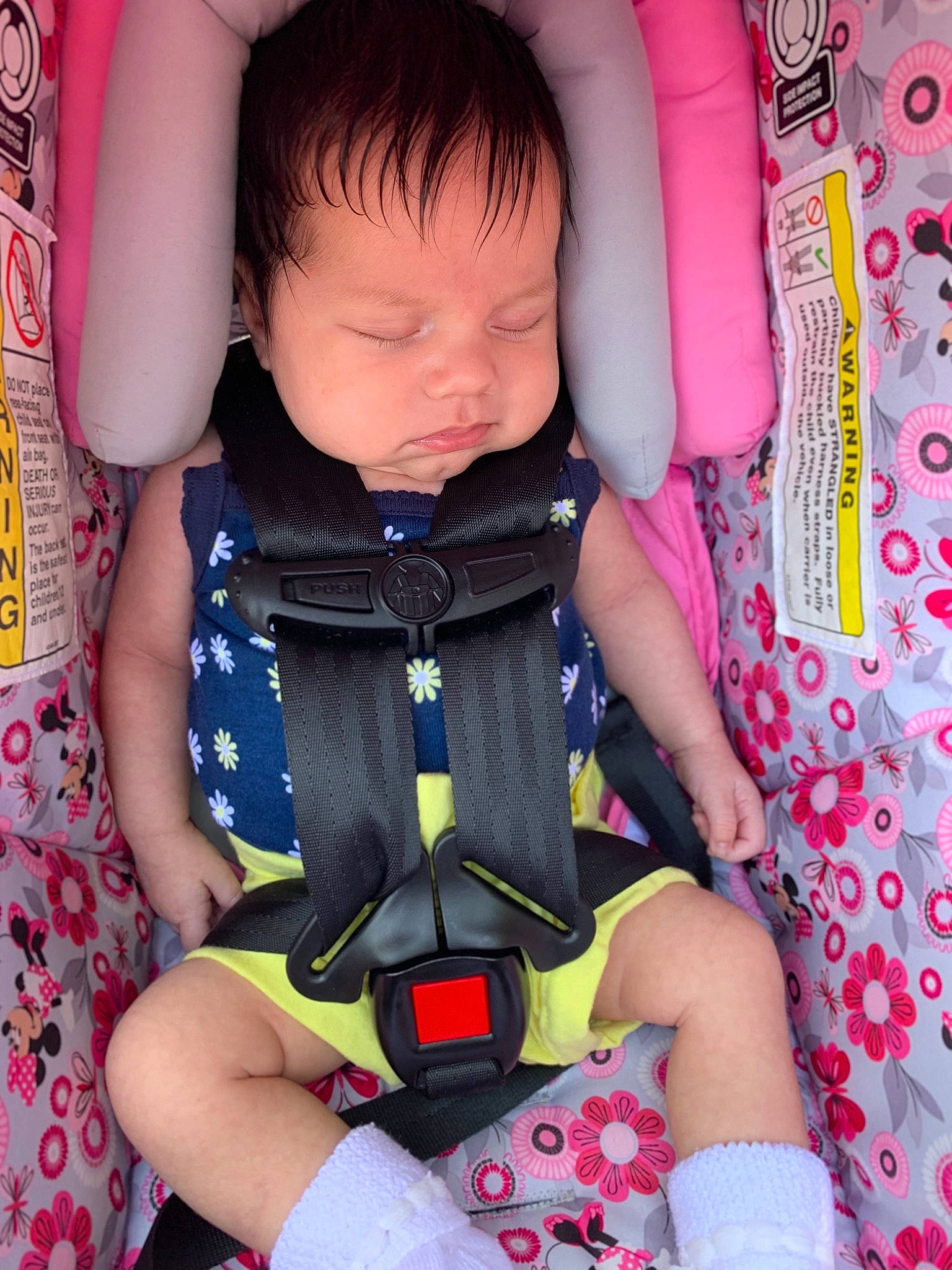 Anahi is registered to the contest to win money with this photo: baby, baby_in_car_seat, car_seat, cheek, child, pattern, person, pink, product, sitting, skin, toddler
