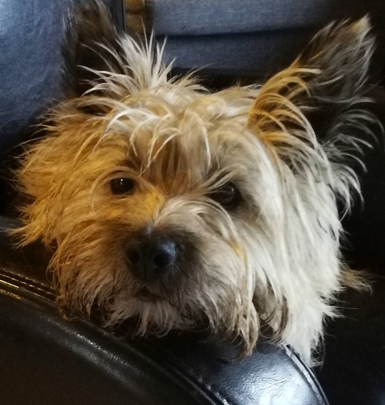 Winnie