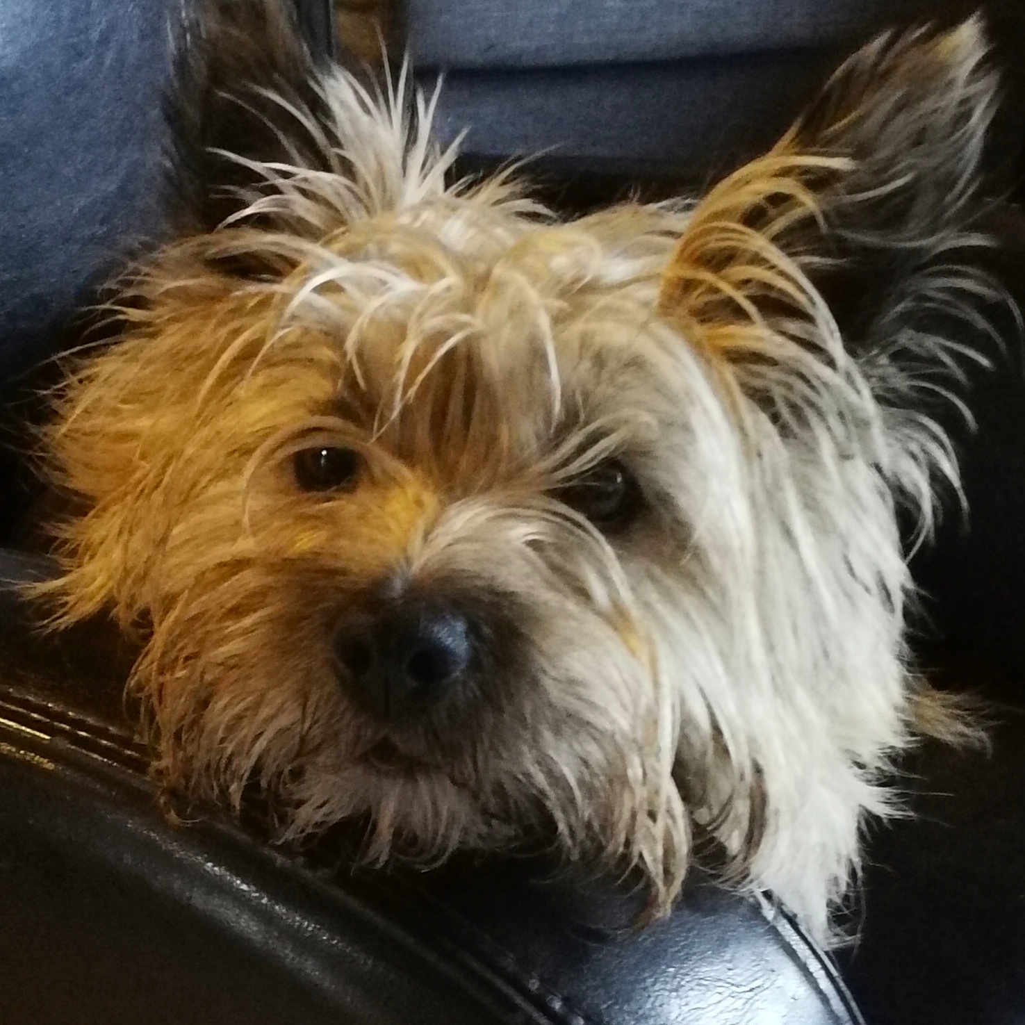 Winnie