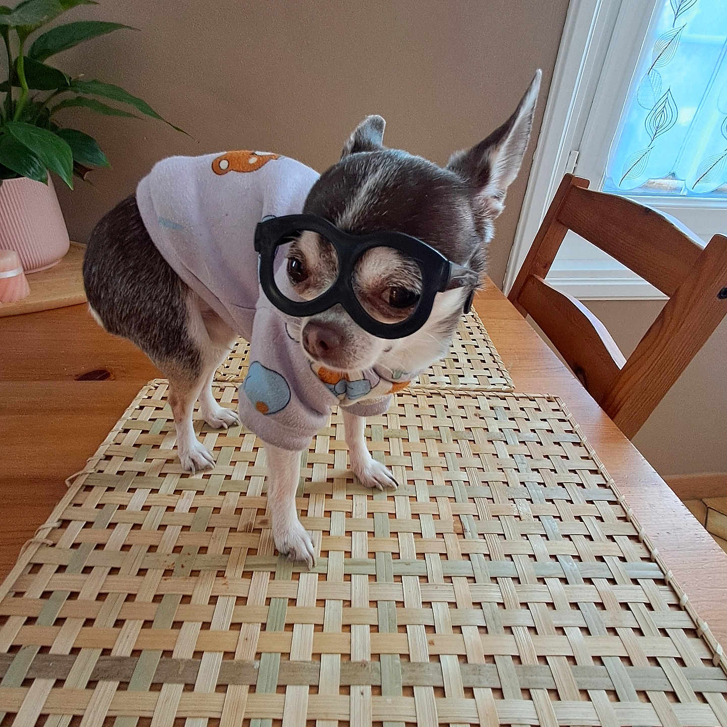 Nala