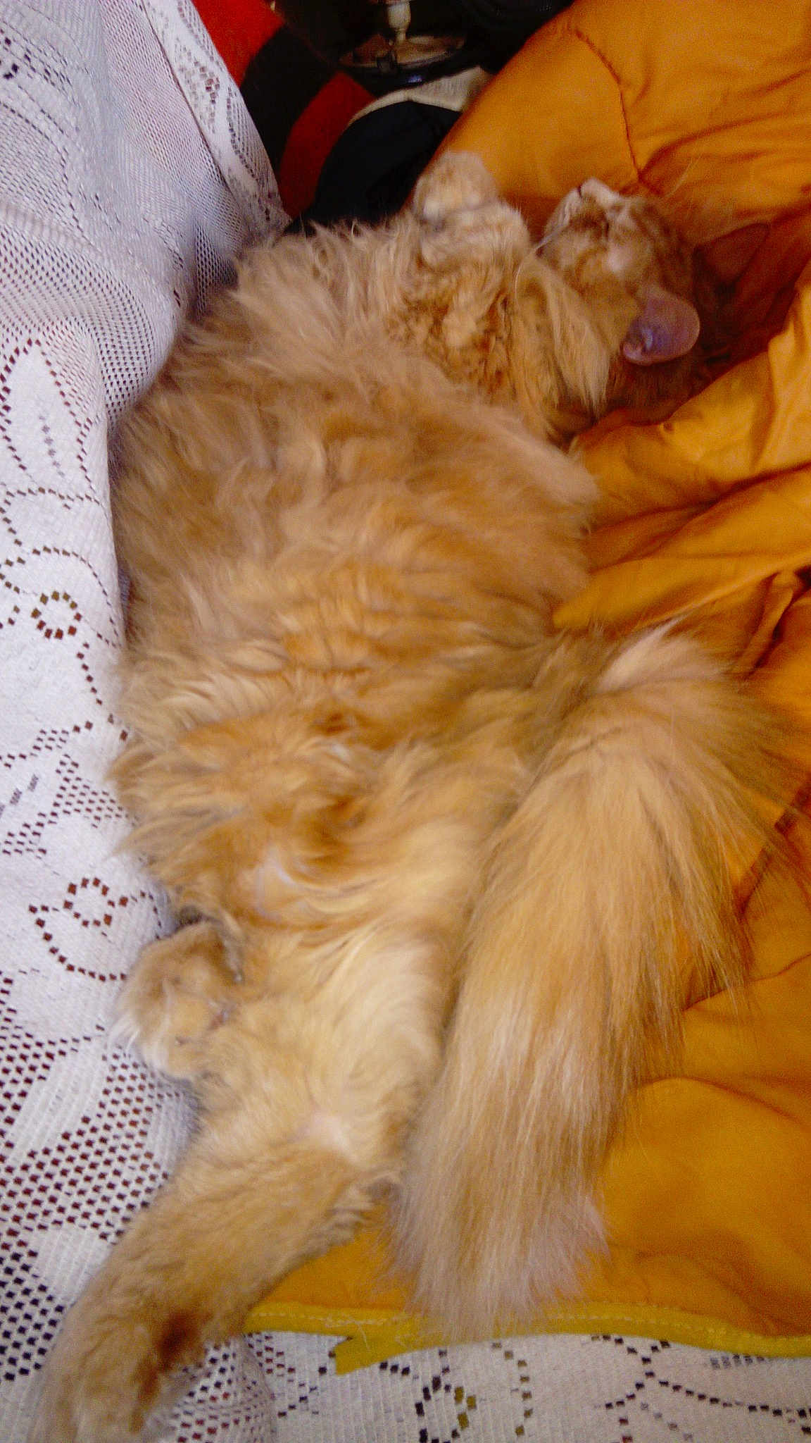 Tigrou