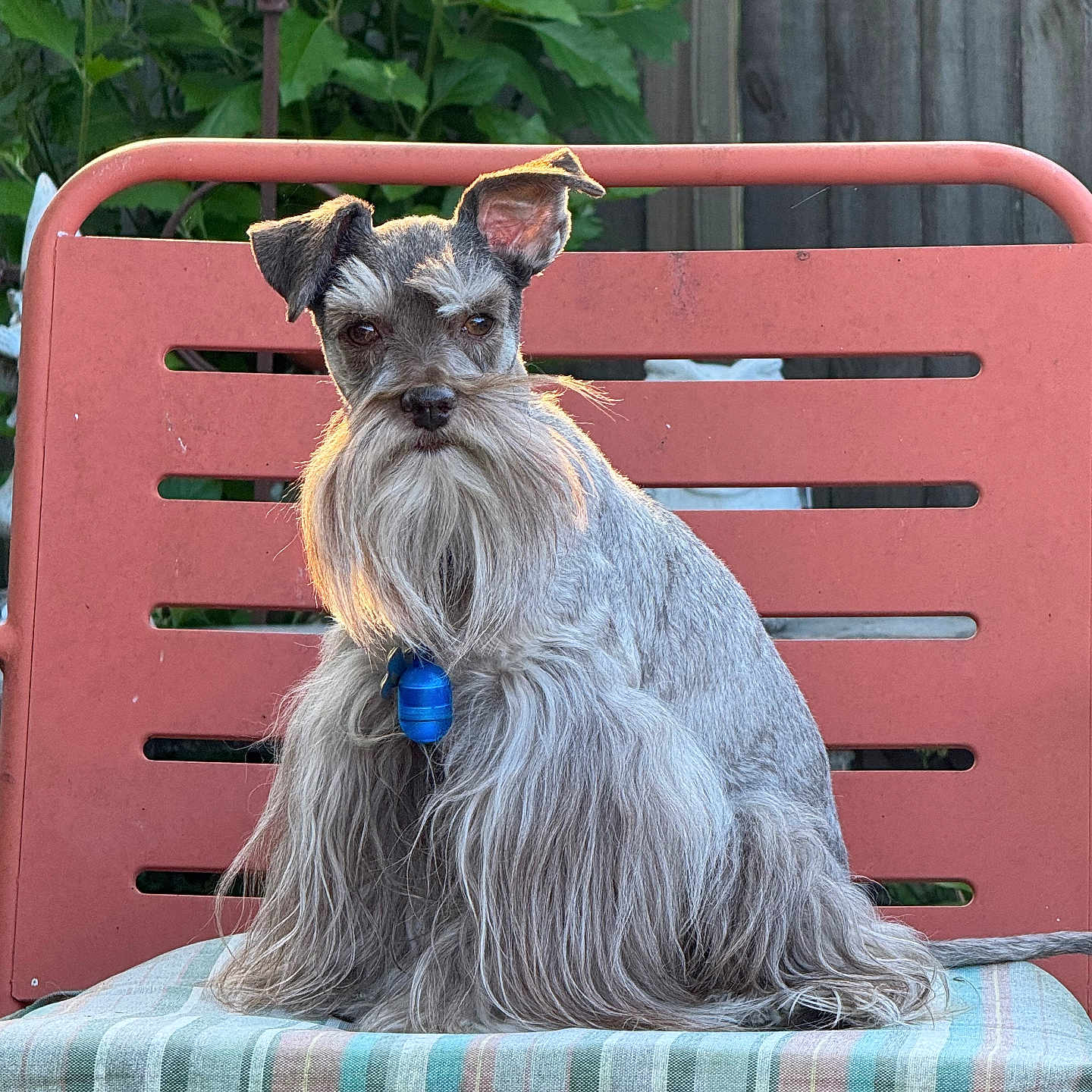 Ragnar