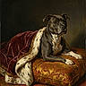 dog, portrait, royalty, luxury, cushion, robe, golden_necklace, fabric, fur_trim, indoor, animal, noble, decorative, painting, classical, artwork, dignified, resting, expression, dark_background