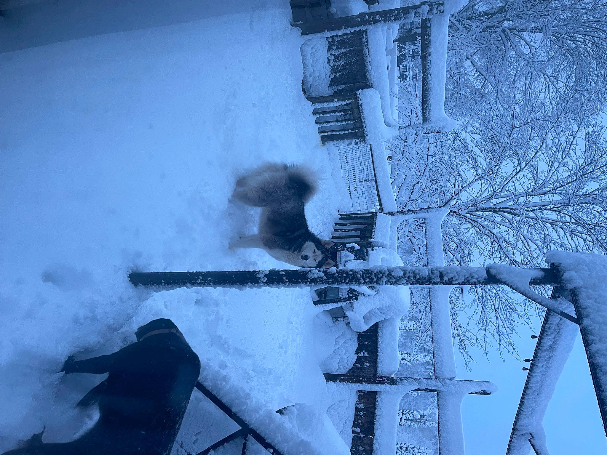 Willow is registered to the contest to win money with this photo: art, electric_blue, electrical_supply, electricity, freezing, ice, metal, monochrome, monochrome_photography, overhead_power_line, public_utility, shadow, sky, slope, snow, visual_arts, water, winter, wire, wood