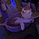 Kooper