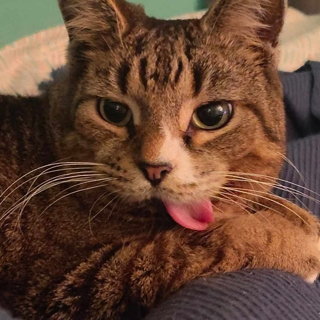 Leo