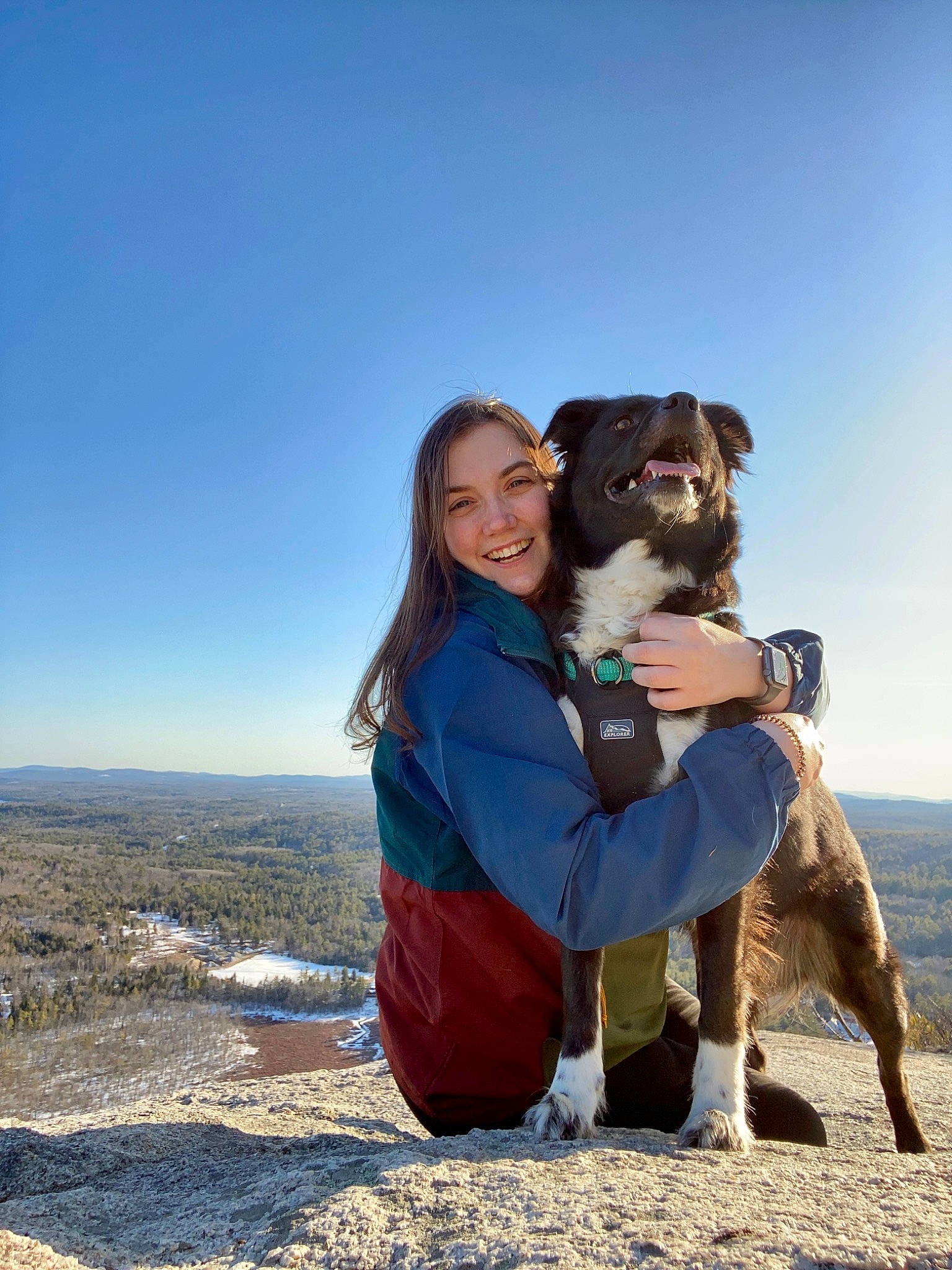 Callie joined the competition — help win amazing prizes! adventure, carnivore, companion_dog, dog, dog_breed, fawn, fun, happy, horizon, landscape, leisure, ocean, people_in_nature, recreation, rock, sitting, sky, smile, travel, walking
