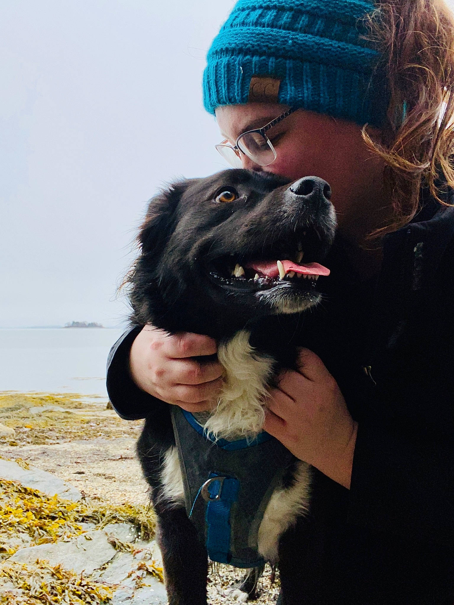 Callie is registered to the contest to win money with this photo: beard, canidae, cap, carnivore, companion_dog, dog, dog_breed, electric_blue, fashion_accessory, fun, fur, gesture, guard_dog, happy, outerwear, sky, smile, snout, sporting_group, vertebrate