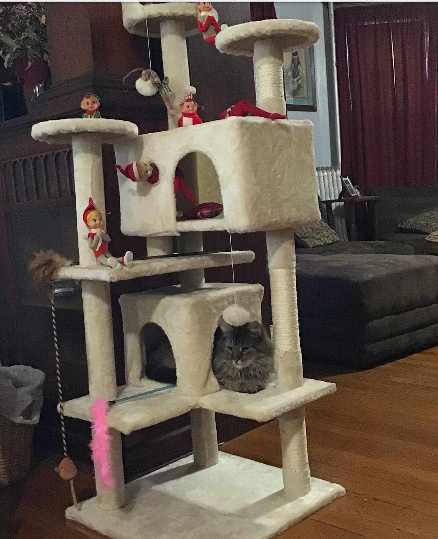 Noni joined the competition — help win amazing prizes! cat, cat_tree, indoor, furniture, plush, elf_doll, toy, wooden_floor, curtains, sofa, cushion, window, decor, pet, feline, home, relaxing, cozy, animal, play