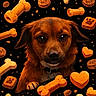 dog, digital_art, dog_treats, bones, hearts, brown_fur, pet, cute, illustration, animal, snout, ears, collar, paw, black_background, floating_objects, whimsical, food, playful, portrait
