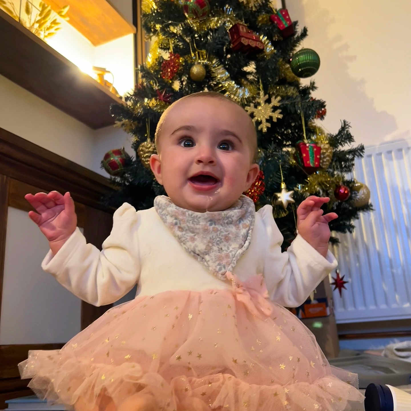 Lyla is registered to the contest to win money with this photo: accessories, baby, bodypart, clothing, dress, face, festival, finger, formalwear, hand, head, lighting, person, photography, plant, portrait, pottedplant, sitting, tree, wood