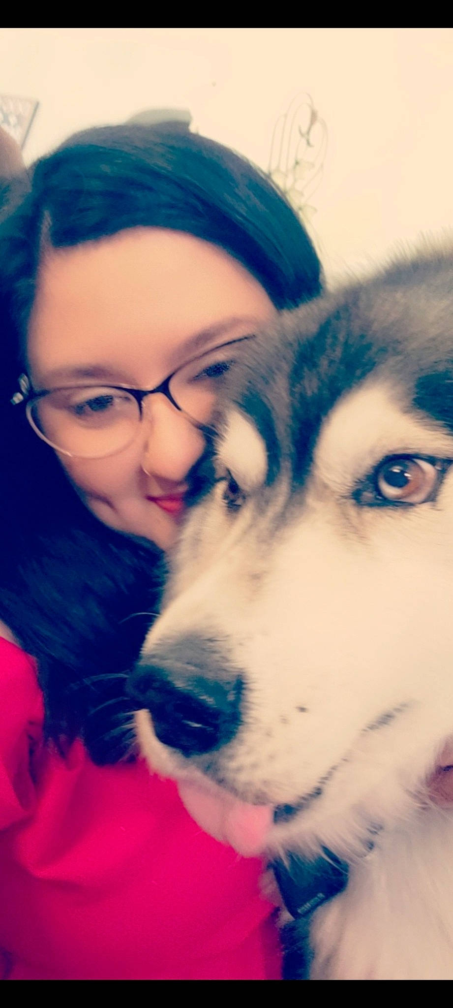 Digger is registered to the contest to win money with this photo: carnivore, companion_dog, cool, dog, dog_breed, ear, eye, eyebrow, eyelash, eyewear, glasses, hair, happy, iris, jaw, mouth, nose, organ, skin, vision_care