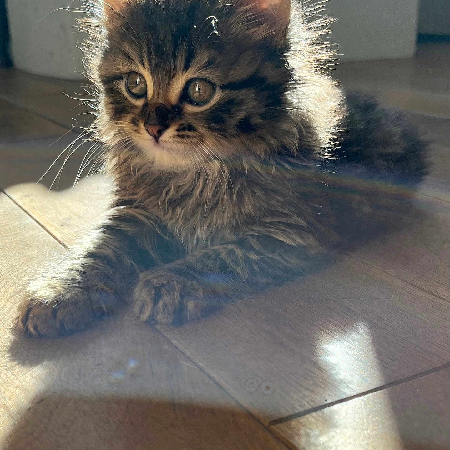 Athena