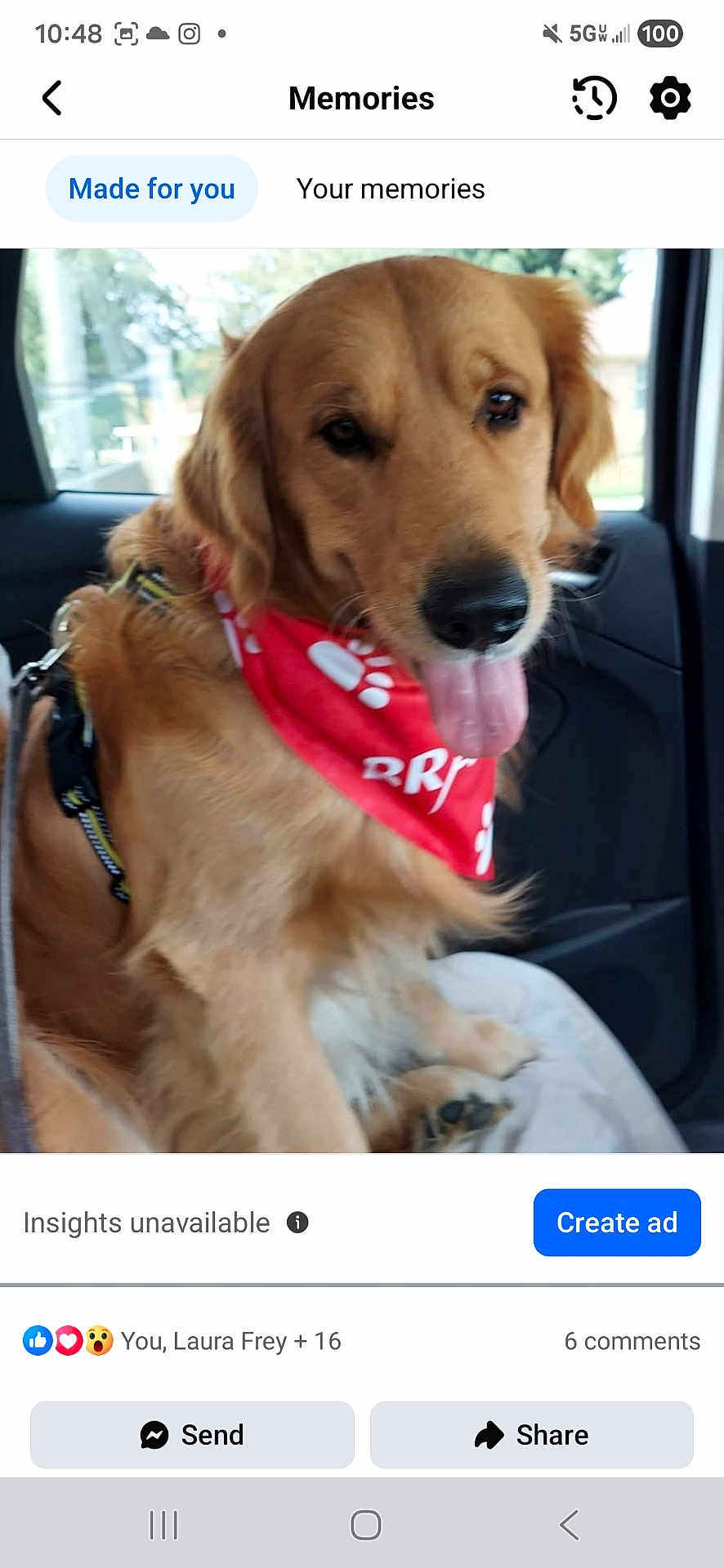 Tucker is registered to the contest to win money with this photo: dog, golden_retriever, bandana, red, car, pet, animal, tongue_out, happy, leash, fur, window, seat, indoor, mammal, companion, cute, portrait, canine, friendly