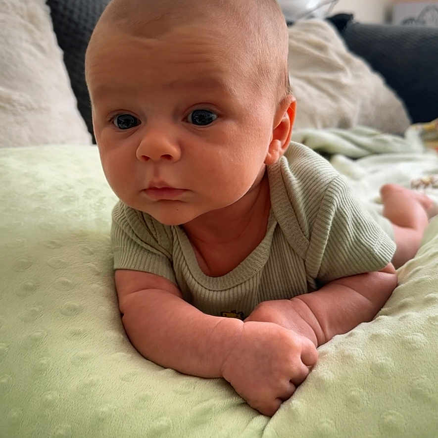 Nicholas is registered to the contest to win money with this photo: baby, bodypart, computer, computerhardware, couch, cushion, electronics, face, finger, furniture, hand, head, homedecor, laptop, newborn, pc, person, photography, portrait, screen