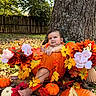 baby, child, pumpkin, autumn, fall, leaves, flowers, outdoor, garden, tree, nature, portrait, sitting, infant, harvest, seasonal, orange, colorful, backyard, photography