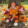 baby, infant, child, pumpkin, pumpkin_costume, autumn, fall, flowers, leaves, outdoor, forest, tree, nature, seasonal, harvest, orange, portrait, sitting, baby_photography, festive