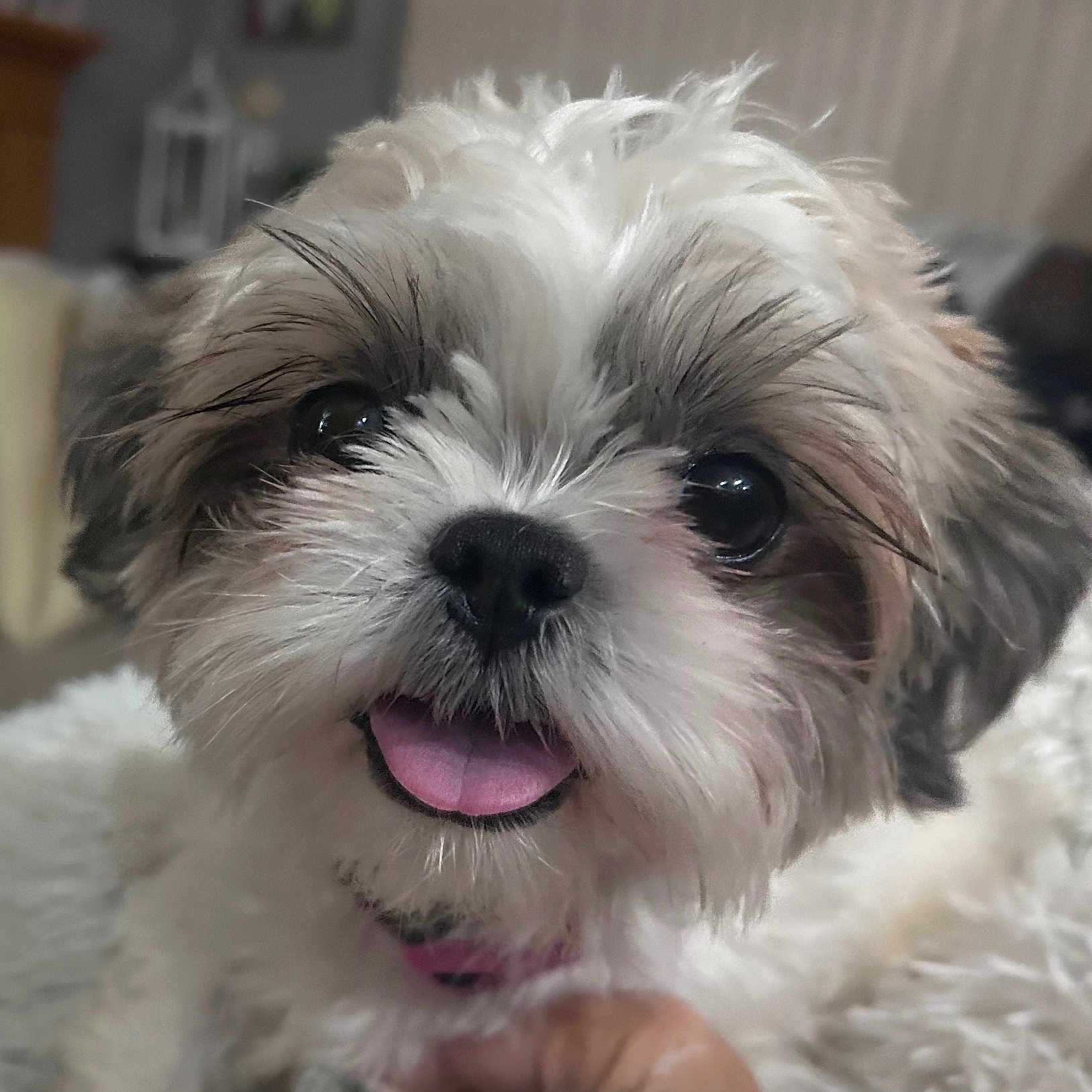 Roxy Mae