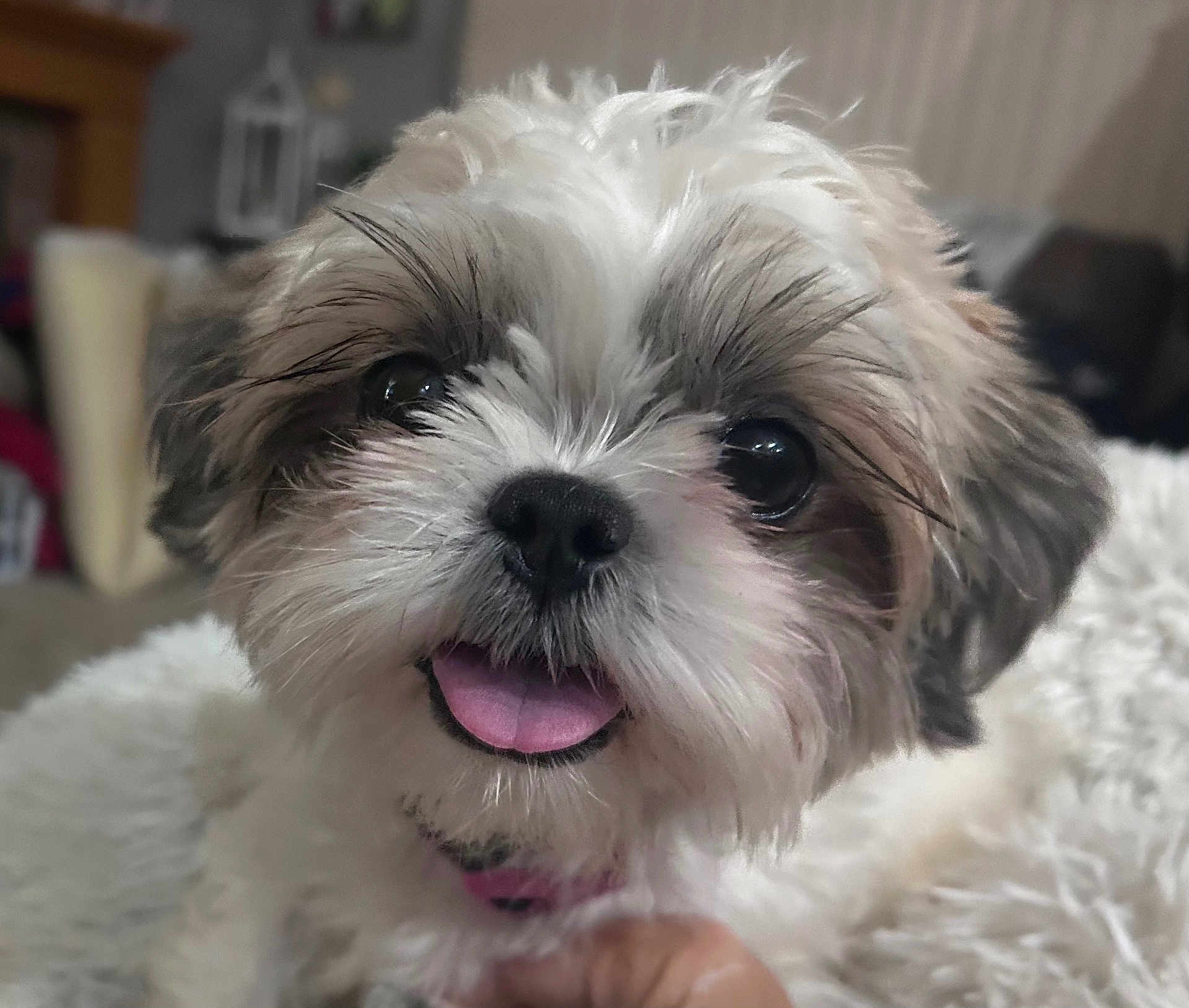 Roxy Mae