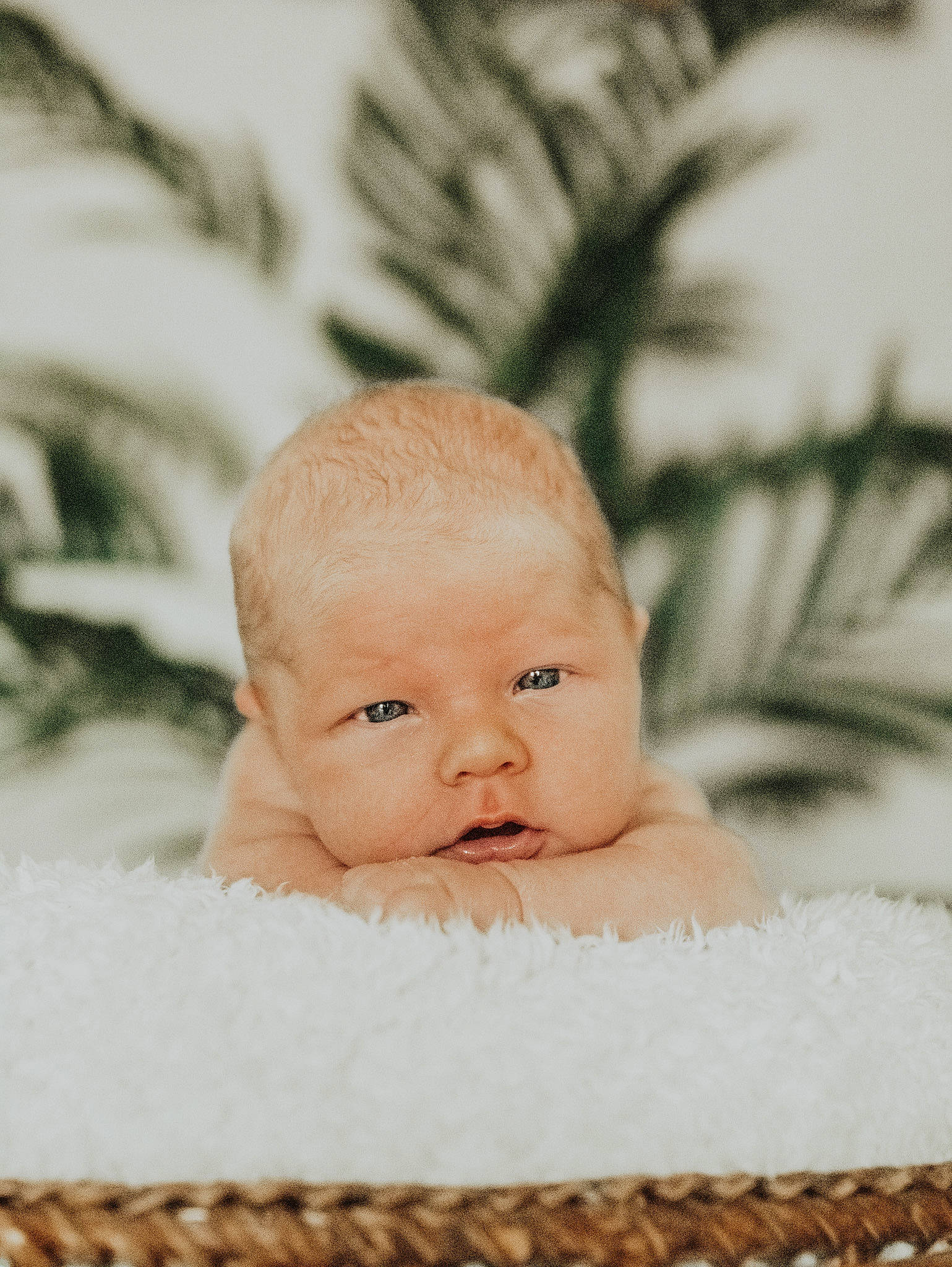 Greysen is registered to the contest to win money with this photo: baby, bathing, cheek, child, chin, eyelash, grass, happy, leisure, person, portrait_photography, sitting, skin, toddler, wood