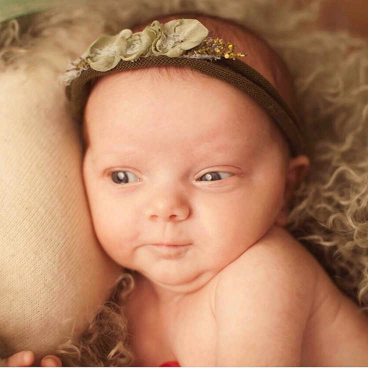 Everly