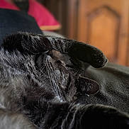 Marseille participe au concours pour gagner de l'argent avec cette photo : cat, tabby, sleeping, paw, fur, whiskers, close_up, indoor, resting, cozy, blanket, feline, pet, cute, animal, relaxing, soft_light, comfort, home, nap