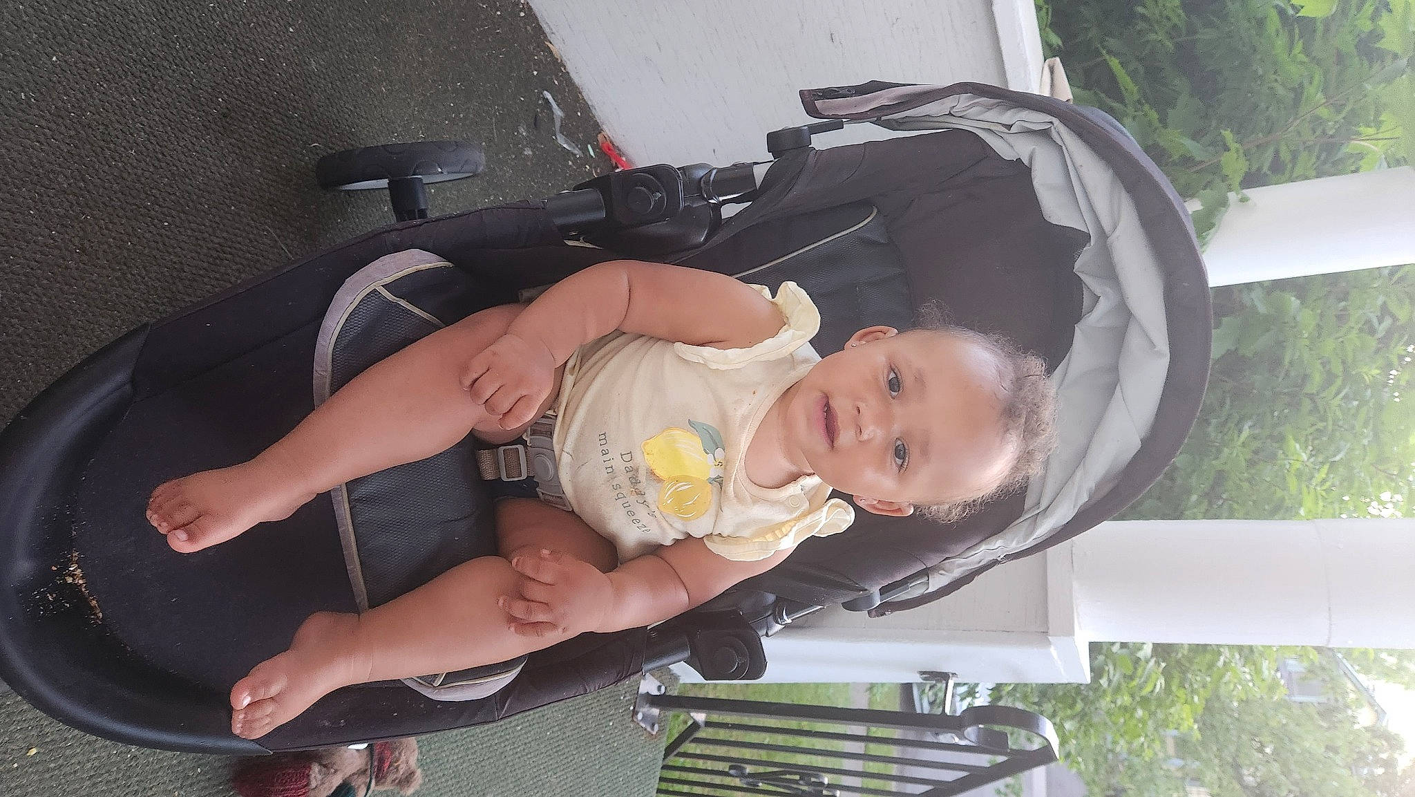 Charlotte joined the competition — help win amazing prizes! auto_part, baby, baby_carriage, baby_products, baby_toddler_clothing, child, comfort, fun, grass, hand, lap, leg, person, plant, sitting, thigh, tire, toddler, tree