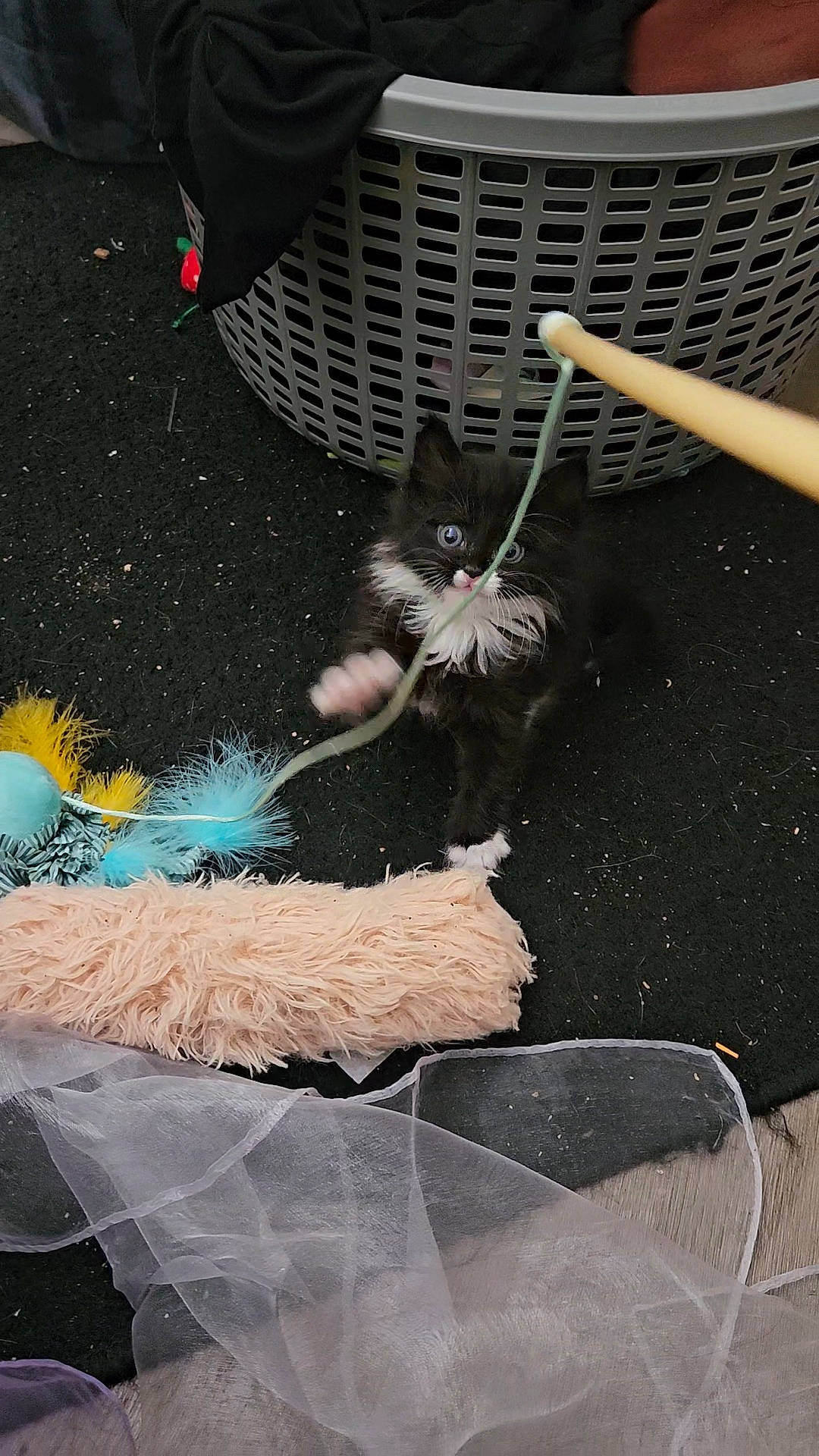 Cookies N Crème joined the competition — help win amazing prizes! art, astronomical_object, cg_artwork, fictional_character, freezing, glass, graphic_design, graphics, illustration, painting, pattern, space, still_life_photography, visual_arts, winter