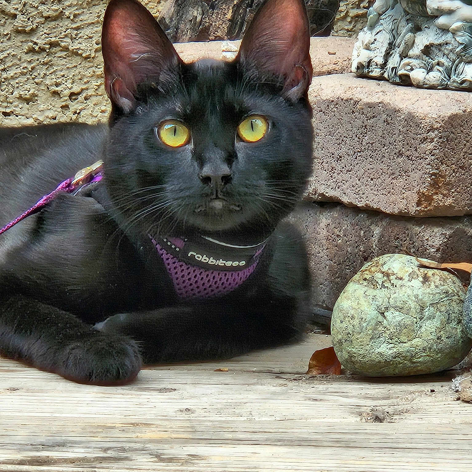 Thin Mint