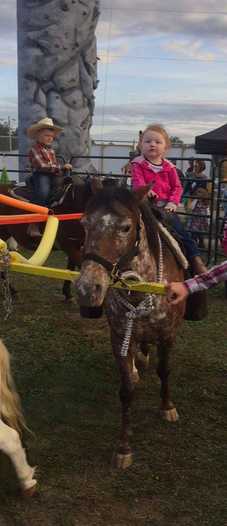 Haidyn is registered to the contest to win money with this photo: animal_sports, bridle, halter, horse, horse_harness, horse_supplies, horse_tack, horse_trainer, landscape, livestock, mammal, mane, mare, pack_animal, person, pony, recreation, rein, shetland_pony, stallion