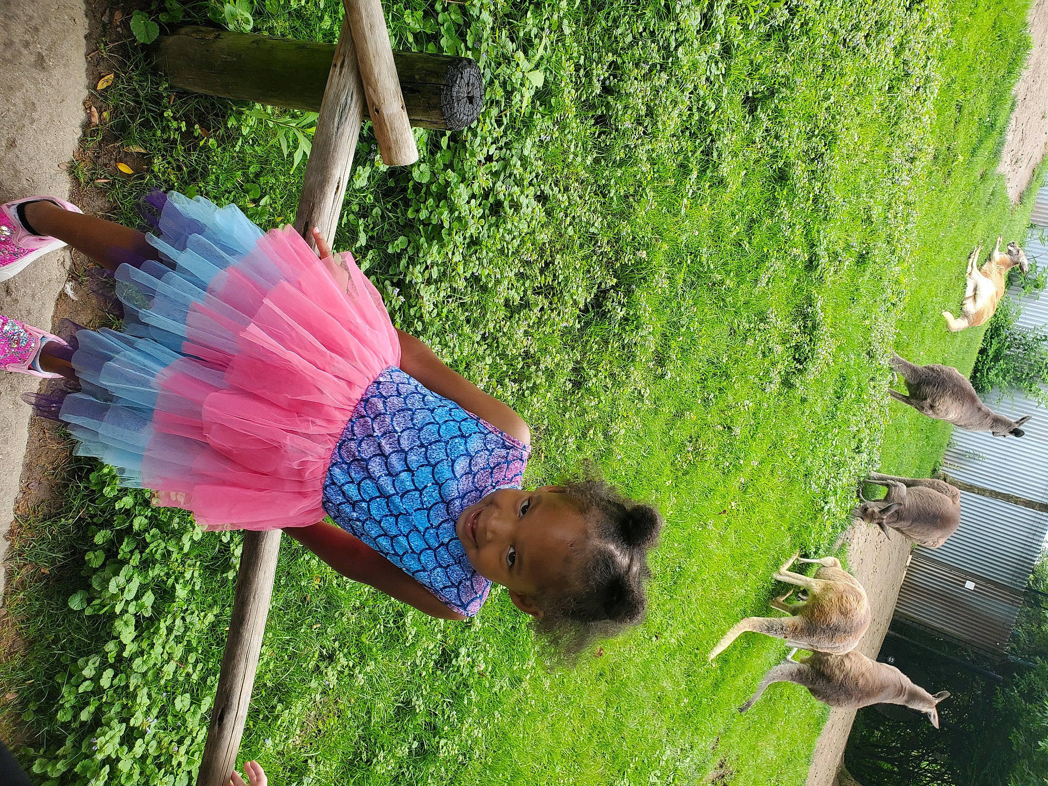 Zahara is registered to the contest to win money with this photo: backyard, botany, electric_blue, fun, garden, grass, grass_family, green, groundcover, joy, leisure, magenta, nature, party_supply, people_in_nature, person, plant, shrub, t_shirt, tail