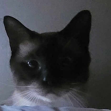 Jackson