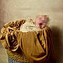 newborn, baby, blanket, basket, brown_fabric, woven, soft_texture, wrapped, cozy, sleeping, indoors, portrait, child, knit, warm_colors, resting, cute, infant, studio, fabric