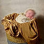 baby, basket, blanket, brown, child, cozy, fabric, face, knitted, newborn, person, portrait, resting, sleeping, soft, studio, texture, toddler, wrapped, woven