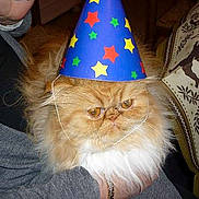 Poupette participe au concours pour gagner de l'argent avec cette photo :