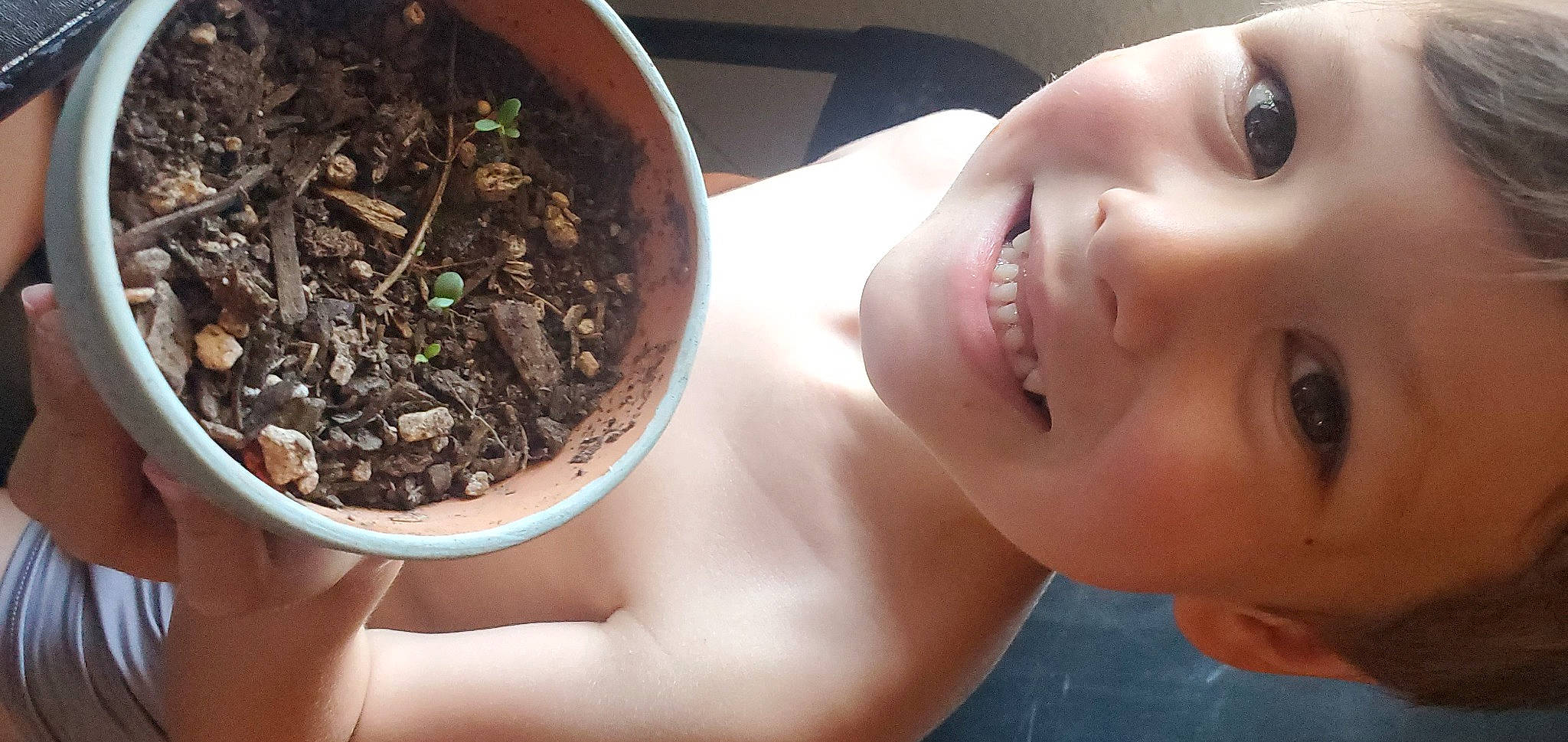 Alaric is registered to the contest to win money with this photo: child, cuisine, dish, drink, eyelash, flash_photography, flowerpot, food, happy, herb, houseplant, ingredient, jaw, joy, person, plant, portrait_photography, smile, soil, toddler
