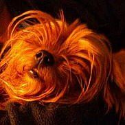 UNIBELLE participe au concours pour gagner de l'argent avec cette photo :