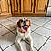 Mabelle