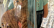Thaddeus joined the competition — help win amazing prizes! backpack, carpet, casual, cat, child, clothing, curious, fabric, hair, home, indoor, legs, light, orange_tabby, pattern, pet_carrier, reflection, transparent_bubble, ventilation_holes, window