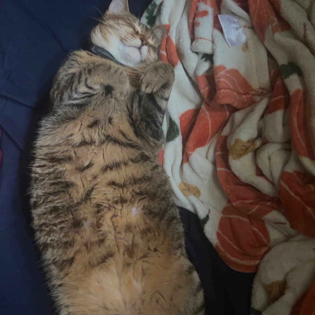 Luna