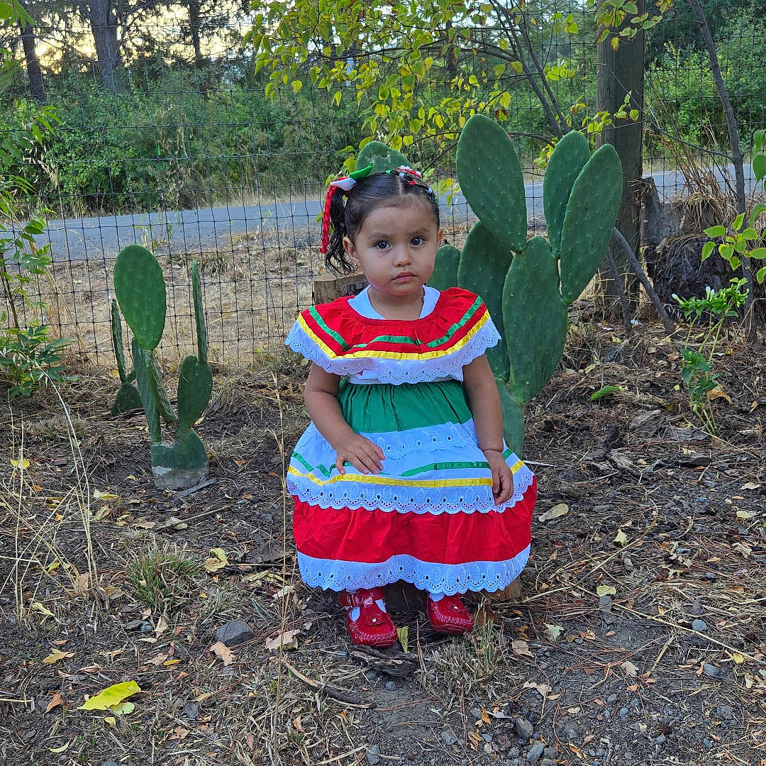 Arely