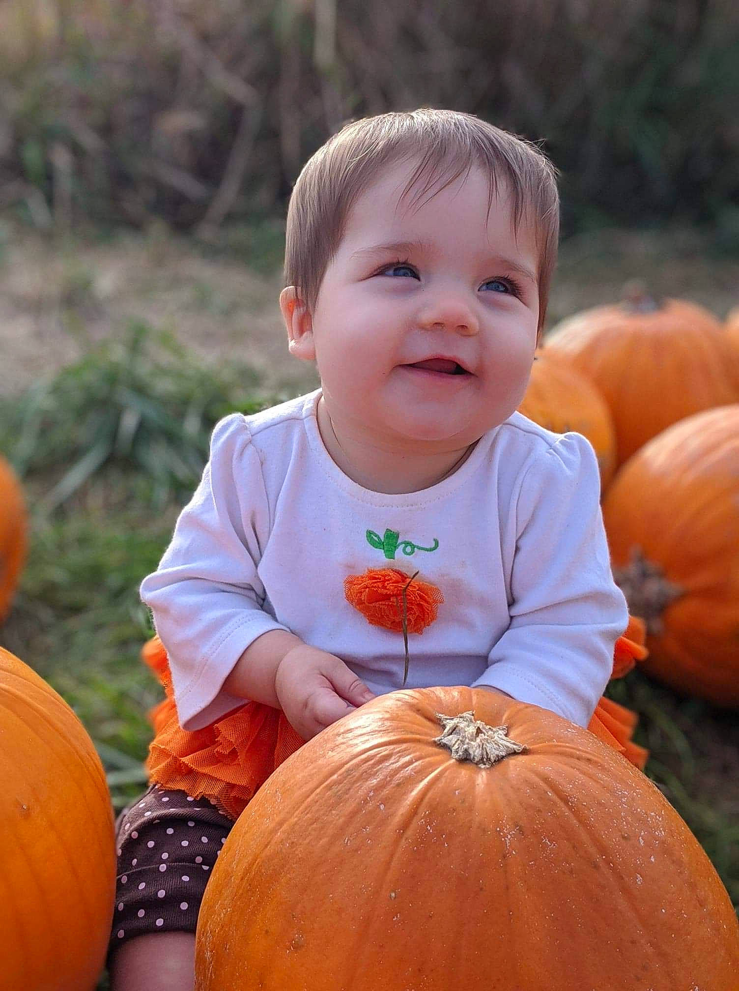 Kynzleigh is registered to the contest to win money with this photo: _and_melon_family, _gourd, calabaza, child, cucumber, cucurbita, food, fruit, gourd, local_food, orange, person, plant, produce, pumpkin, smile, squash, toddler, vegetable, winter_squash