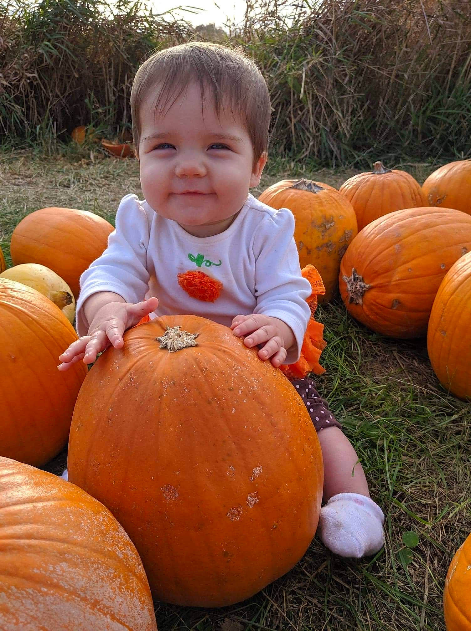 Kynzleigh is registered to the contest to win money with this photo: _and_melon_family, _gourd, calabaza, child, cucumber, cucurbita, food, fruit, gourd, local_food, natural_foods, orange, person, plant, produce, pumpkin, squash, toddler, vegetable, vegetarian_food
