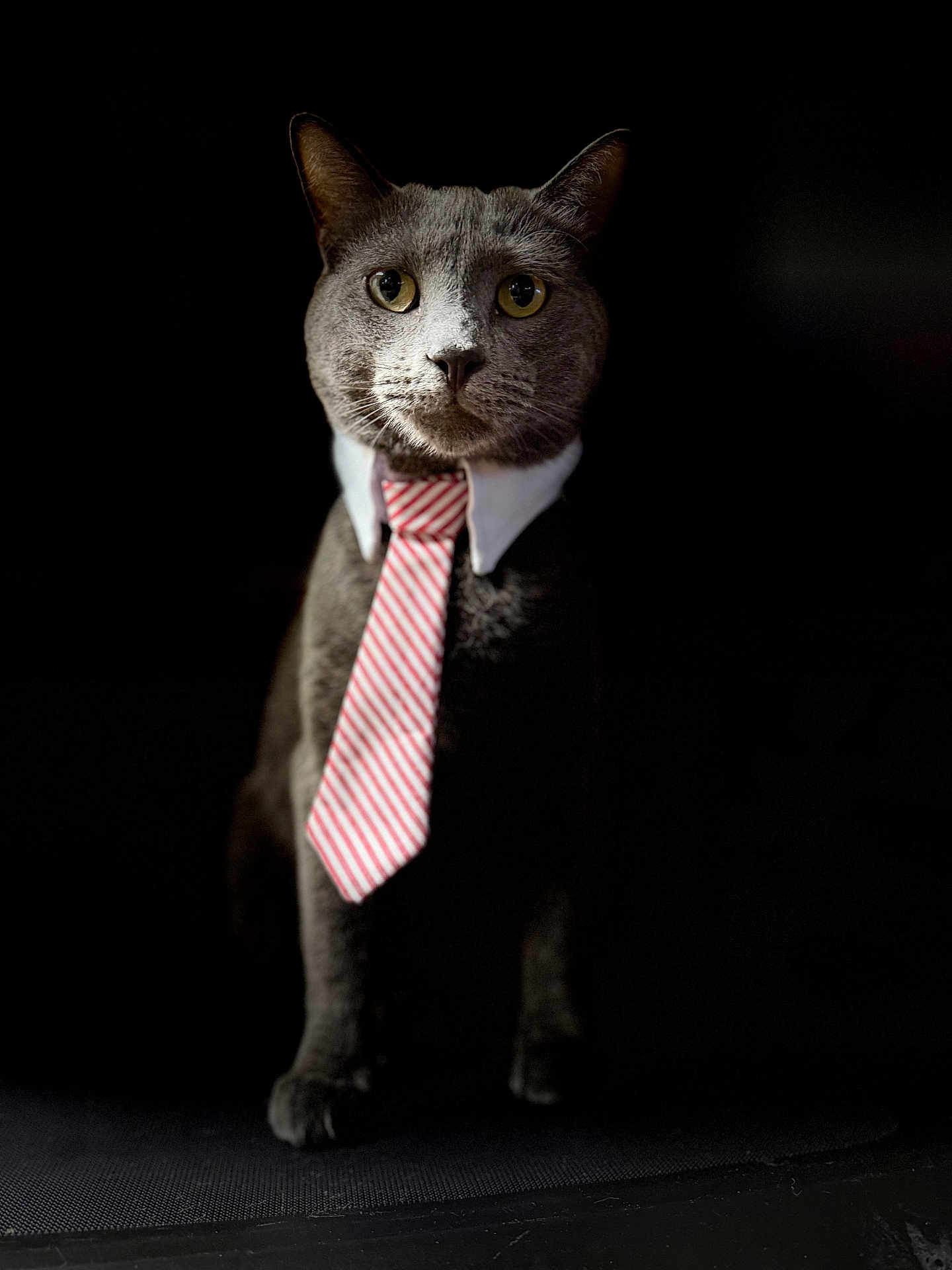Milo