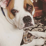 Jax is registered to the contest to win money with this photo: