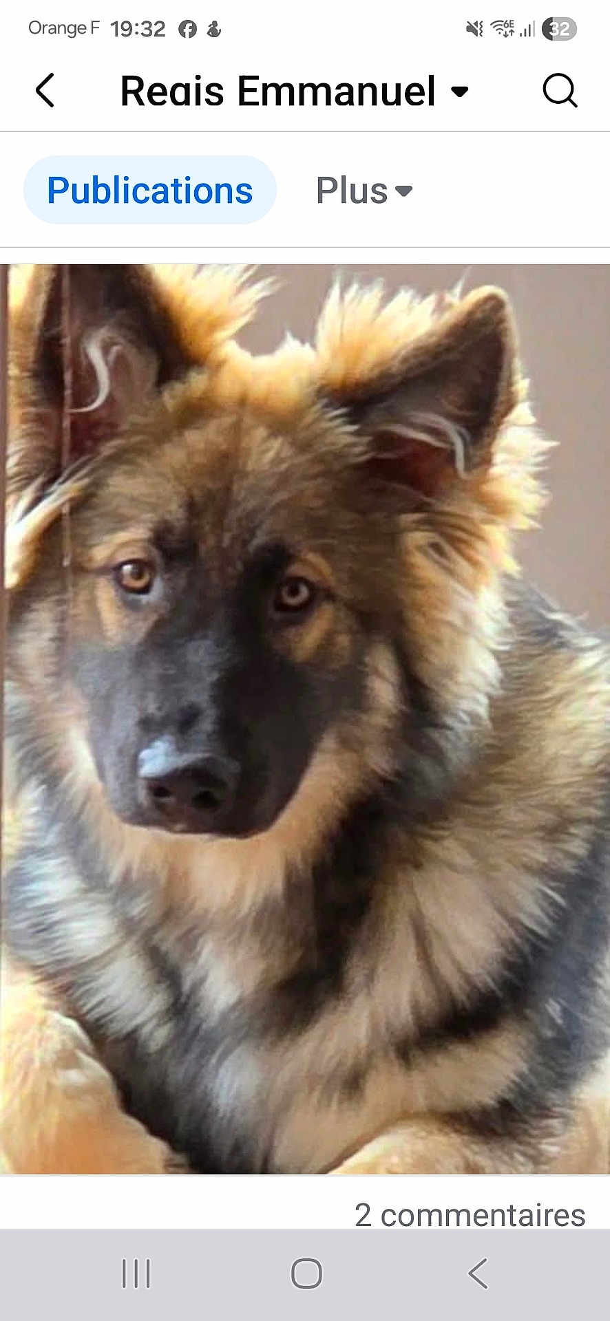 Loonyx participe au concours pour gagner de l'argent avec cette photo : dog, german_shepherd, animal, pet, portrait, close_up, fur, ears, eyes, face, canine, mammal, looking, indoors, fluffy, brown, black, beige, cute, adorable