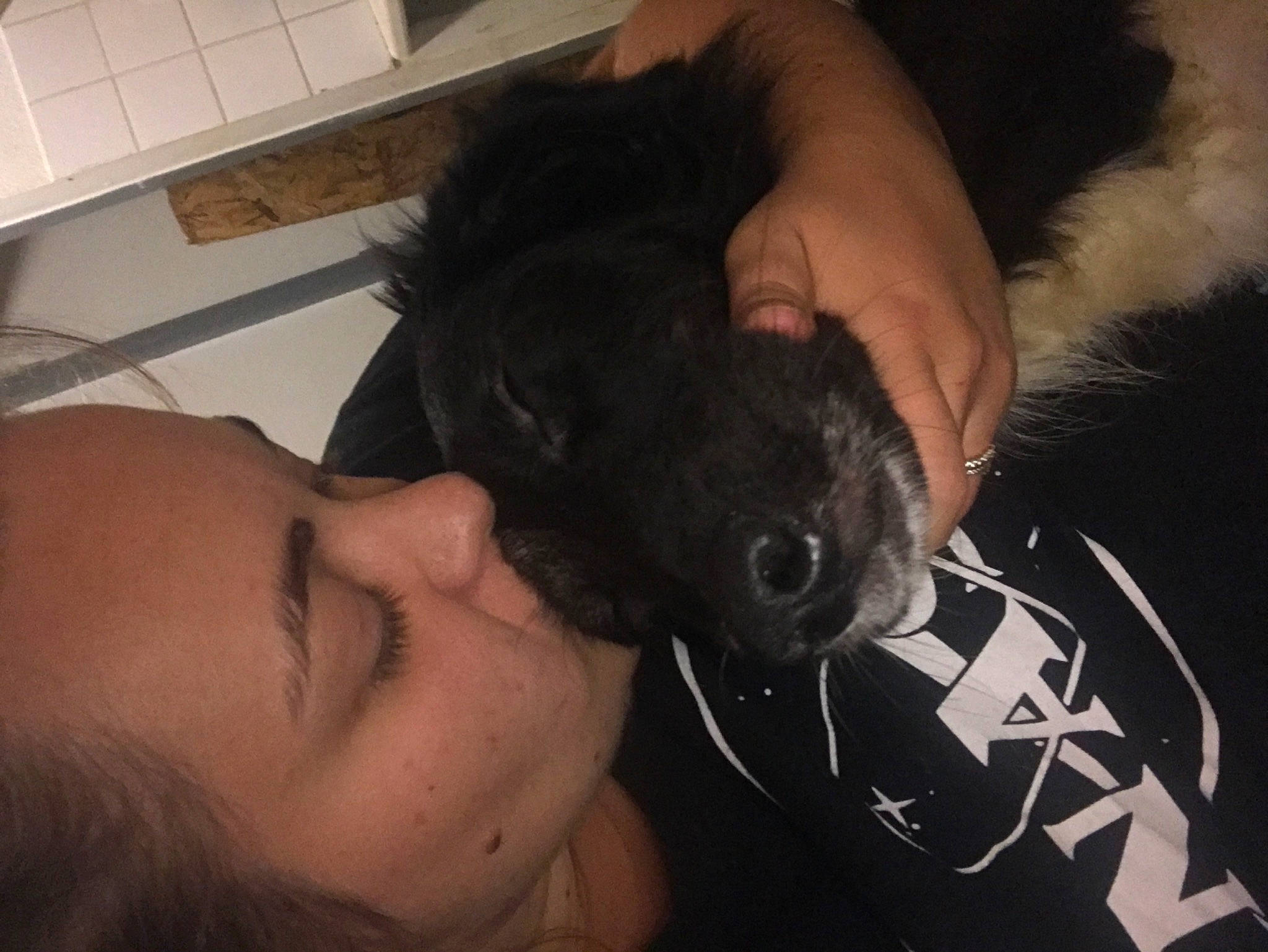 Taz a rejoint le concours — aidez-le/la à gagner de superbes lots ! beard, carnivore, companion_dog, dog, dog_breed, ear, eyebrow, eyelash, facial_hair, finger, flesh, fur, gesture, hand, jaw, nail, selfie, sporting_group, toy_dog, whiskers