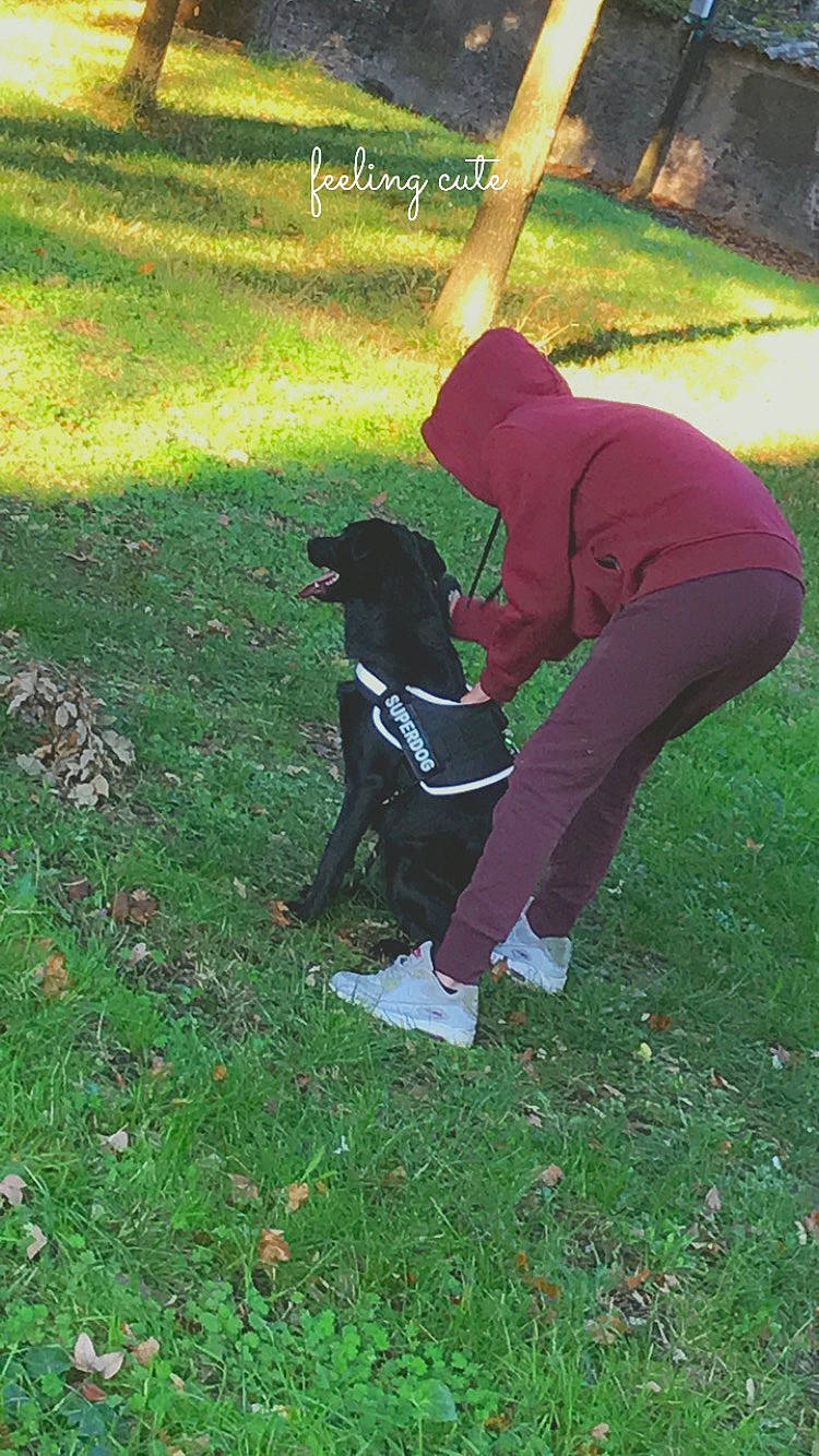 Raya a rejoint le concours — aidez-le/la à gagner de superbes lots ! baseball_cap, companion_dog, dog_breed, elbow, fun, garden, grass, grassland, groundcover, lawn, people_in_nature, plant, recreation, shadow, sitting, soil, t_shirt, tail, tints_and_shades, yard